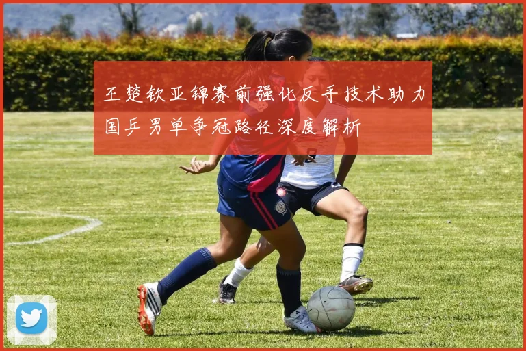 王楚钦亚锦赛前强化反手技术助力国乒男单争冠路径深度解析